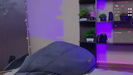 zelda_1 webcam model stream image