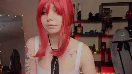 zelda_1 webcam model stream image