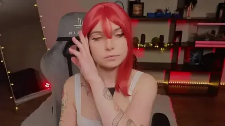 zelda_1 webcam model stream image