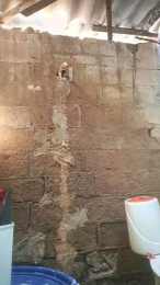 Don_21 webcam model stream image