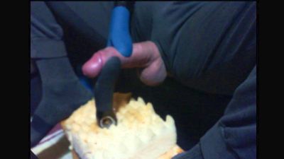 dogready webcam model stream image