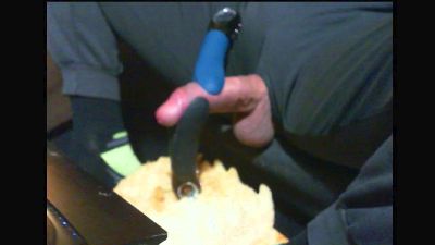 dogready webcam model stream image