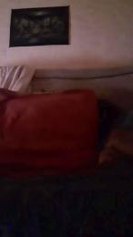 patpit4 webcam model stream image