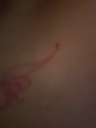 bergmanamii webcam model stream image