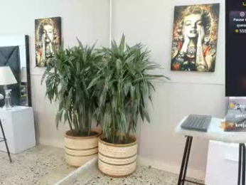 emilio_brandon webcam model stream image