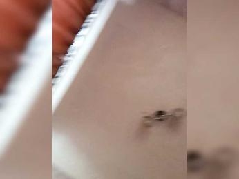 Malina25-1 webcam bongacams model stream image