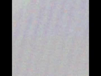 angielee01 webcam model stream image