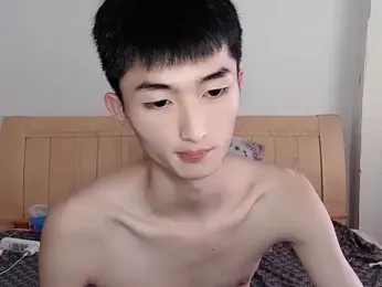 N228 webcam model stream image