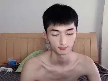 N228 webcam model stream image