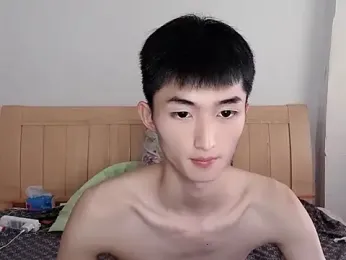 N228 webcam model stream image