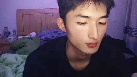 N228 webcam model stream image