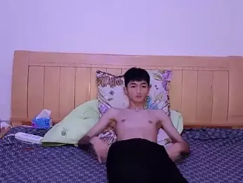 N228 webcam model stream image