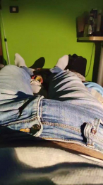 hopxxx webcam model stream image