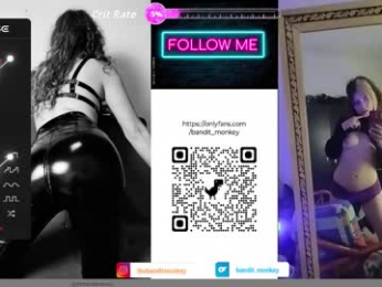 bandit_monkey webcam model stream image