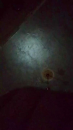 Erotikone29 webcam model stream image