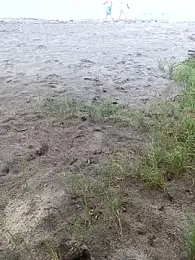 IaDoherty webcam model stream image