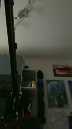 BaNaNeNOrAnGeN webcam model stream image