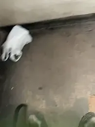 CACHORRONOCIU webcam stripchat model stream image