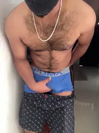 Desi_Panda webcam model stream image