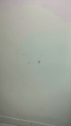 Alunafunn webcam model stream image