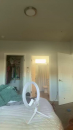 Msfreckles32 webcam model stream image