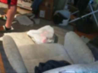 jackaslice webcam model stream image