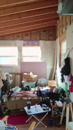 Timb8000 webcam model stream image