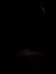 Danielavegax webcam model stream image