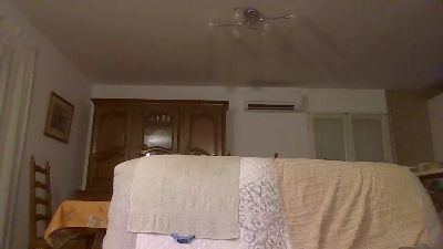 cybear webcam model stream image