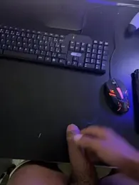 Sanicrt webcam model stream image