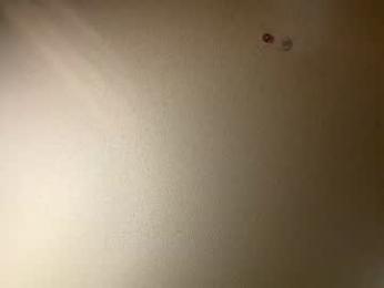 spicydevils420 webcam chaturbate model stream image