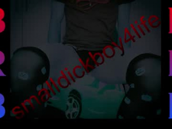 smalldickboy4life webcam model stream image