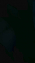 Spanit webcam model stream image