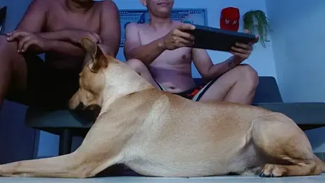 boss_of_cash webcam model stream image