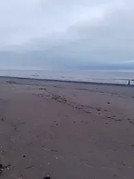 pegaso369 webcam model stream image