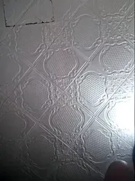 Ramona870 webcam model stream image