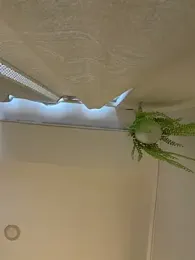 ZaraLuuv webcam stripchat model stream image