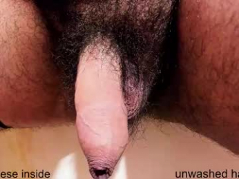 prettyvelludo webcam model stream image