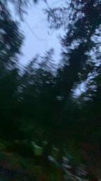 nafets_hot webcam model stream image