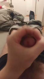 Krieger2022 webcam model stream image