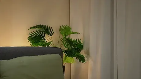 akumadadrive webcam stripchat model stream image