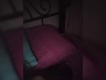 --MODEL--1 webcam model stream image