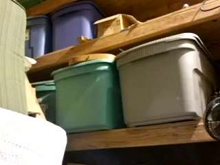 syev069 webcam model stream image