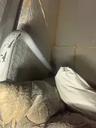 Boysex227 webcam stripchat model stream image