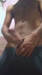 aly_pig_hot webcam model stream image