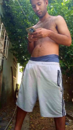 aly_pig_hot webcam model stream image