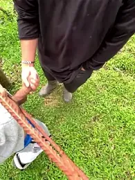 sky-wolves webcam model stream image