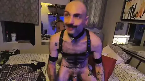 hungbot webcam model stream image