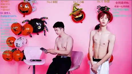 Boygayhouse webcam model stream image