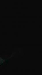 Pareja2552 webcam model stream image